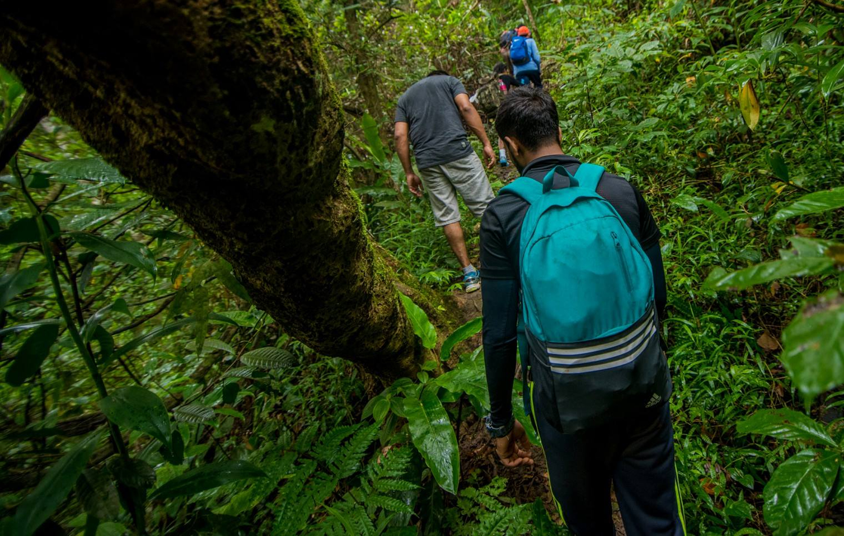 rainforest trekking sri lanka