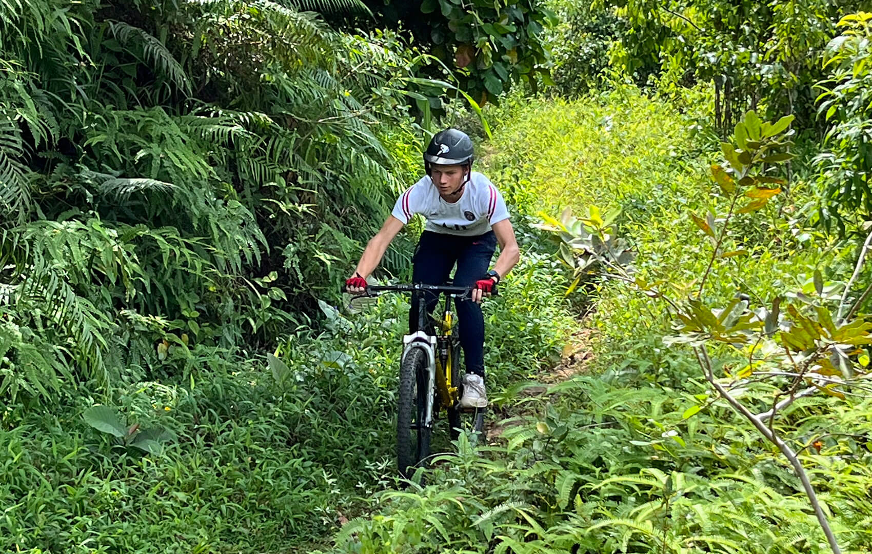 downhill mountain biking kitulgala sri lanka
