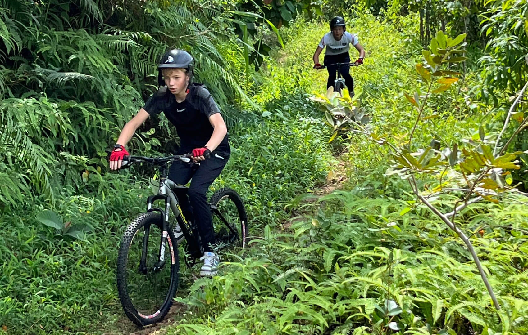 downhill mountain biking kitulgala sri lanka